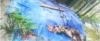 মো: বেলাল হোসেন