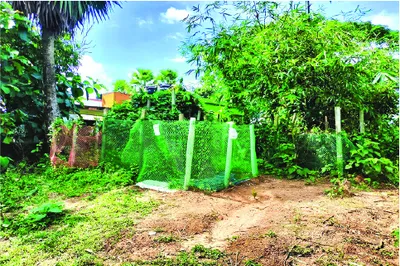 ইকরাম হোসেন কাউসার