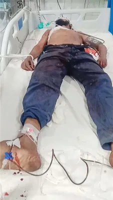 আলী হোসেন