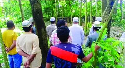 এম এম তৌহিদুর রহমান