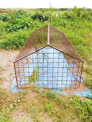ওবায়দুল ইসলাম