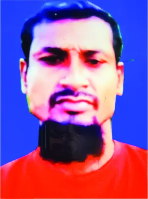 মানিক মিয়া
