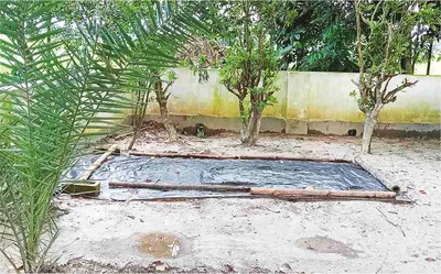 মো: উবায়দুল হক
