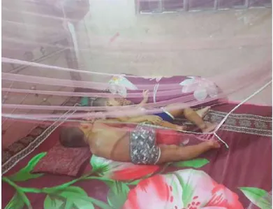 মো: সাইফুল ইসলাম