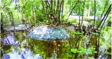 মো: আরাফাত হোসেন আকাশ
