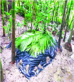 মো: ওসমান পাটওয়ারী