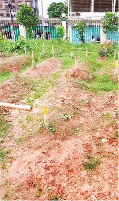 মো: মাসুদ