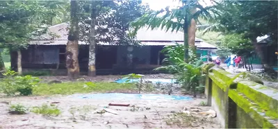 মো: রাব্বি আলম