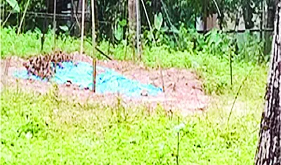 ময়নুল ইসলাম