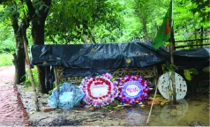 মো: তানভীর ছিদ্দিকী
