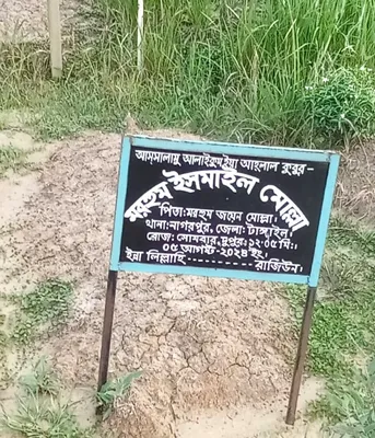 মো: ইসমাইল মোল্লা