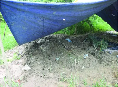 মো: আহসান হাবিব