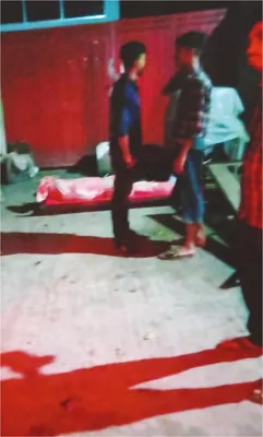 মো: হাফিজুল ইসলাম