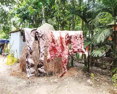 দীন ইসলাম বেপারী