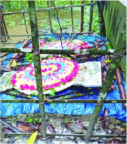 ইউনুছ আলী শাওন