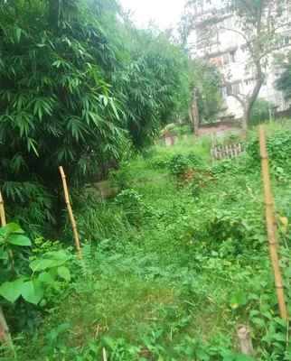 হৃদয় মিয়া