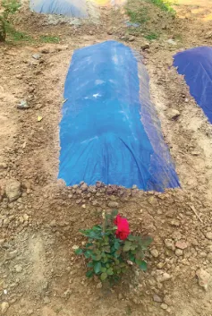 মো: সালাউদ্দিন সুমন