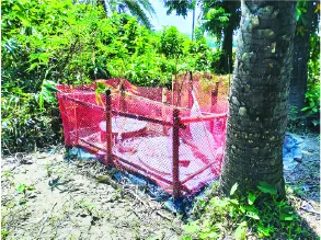 মো: আবদুর গনি